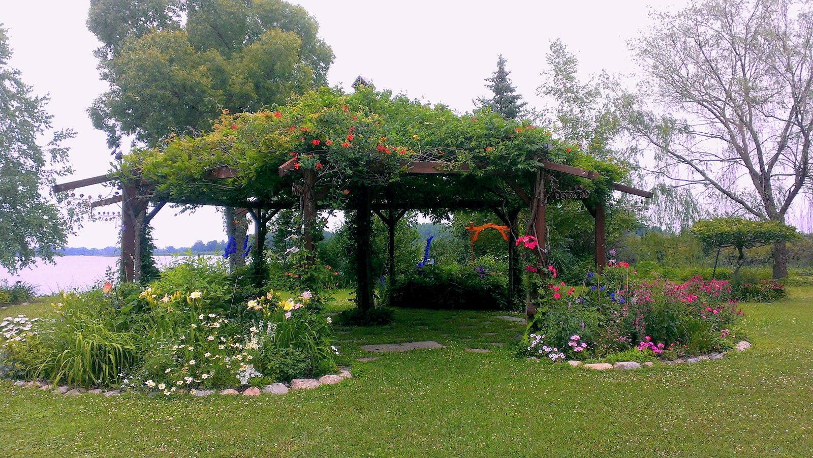 Flowering Gazebo canopy in bloom with red and a yellow Trumpet Vine; flowerbeds include:   Daylilies, Roses, Veronica, Daisies, Petunias and blue Delphinium in the distance